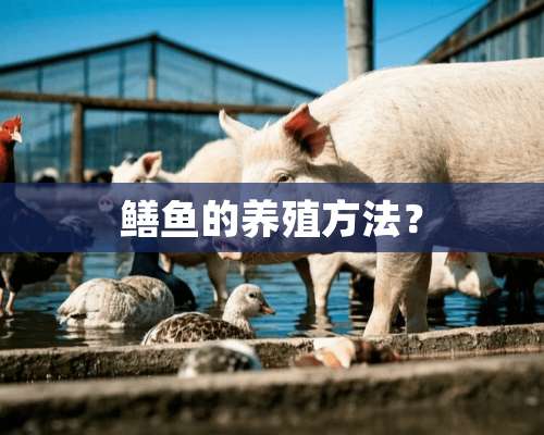 鳝鱼的养殖方法？