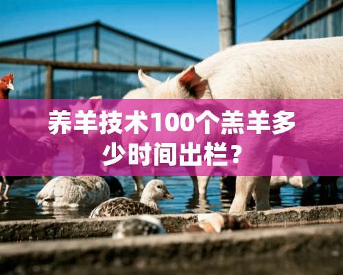 养羊技术100个羔羊多少时间出栏？