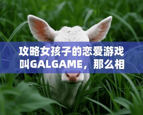 攻略女孩子的恋爱游戏叫GALGAME，那么相反的攻略男孩子恋爱游戏的叫什么啊？