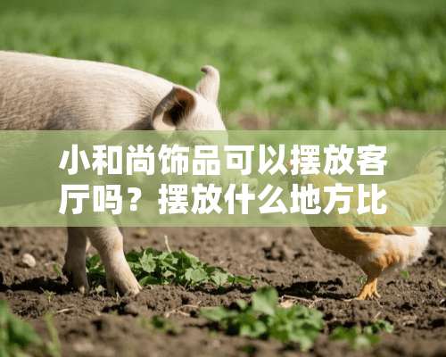 小和尚饰品可以摆放客厅吗？摆放什么地方比较合适？