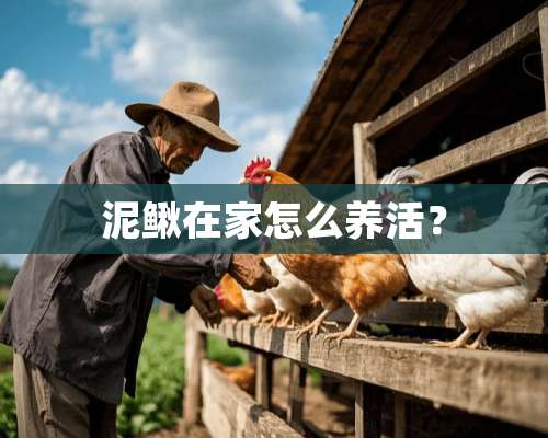 泥鳅在家怎么养活？