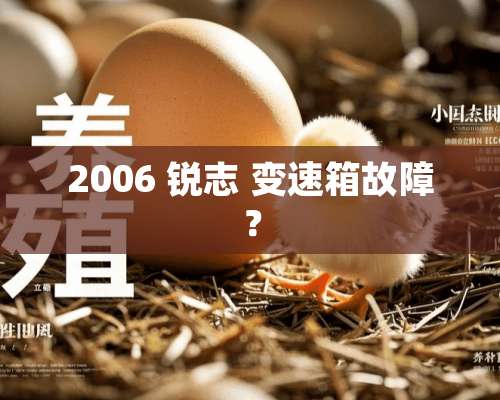 2006 锐志 变速箱故障？