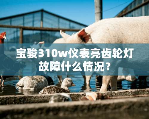 宝骏310w仪表亮齿轮灯故障什么情况？