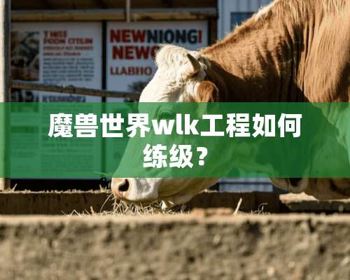 魔兽世界wlk工程如何练级？