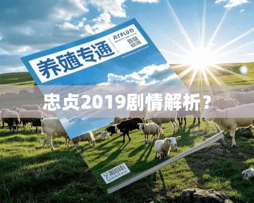 忠贞2019剧情解析？