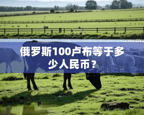 俄罗斯100卢布等于多少人民币？