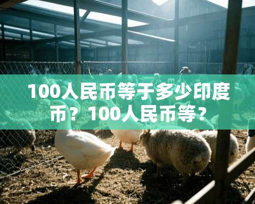 100人民币等于多少印度币？100人民币等？