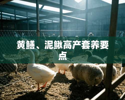 黄鳝、泥鳅高产套养要点