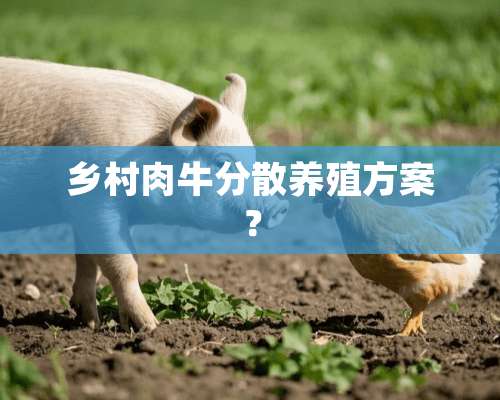 乡村肉牛分散养殖方案？