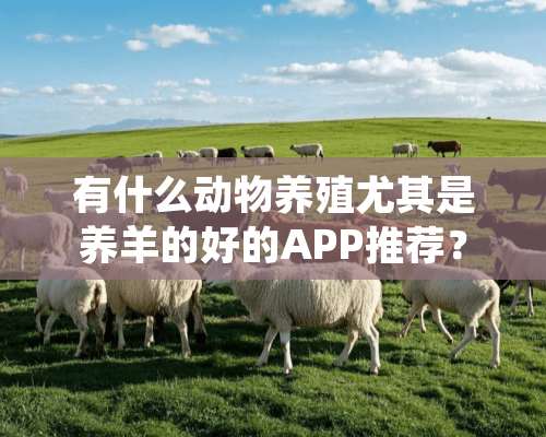 有什么动物养殖尤其是养羊的好的APP推荐？