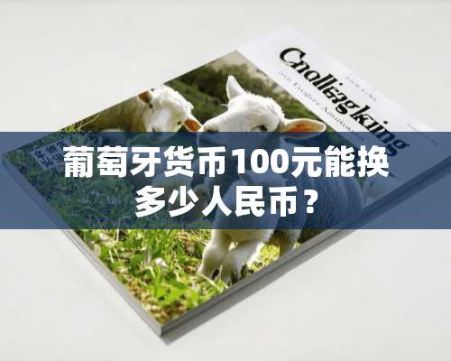 葡萄牙货币100元能换多少人民币？