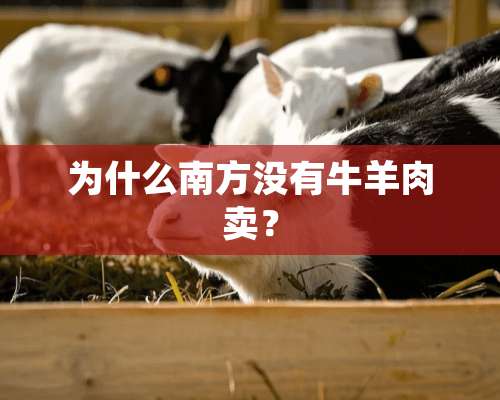 为什么南方没有牛羊肉卖？