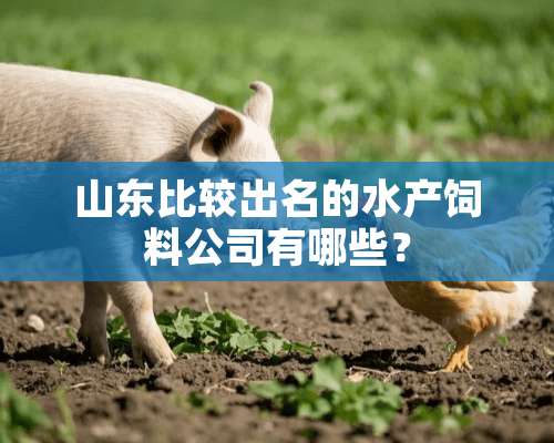 山东比较出名的水产饲料公司有哪些？