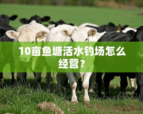 10亩鱼塘活水钓场怎么经营？