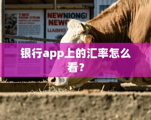 银行app上的汇率怎么看？