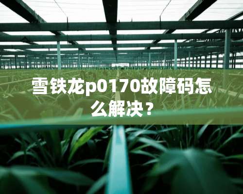 雪铁龙p0170故障码怎么解决？