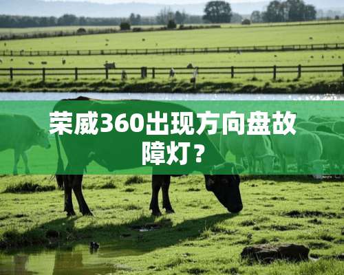 荣威360出现方向盘故障灯？