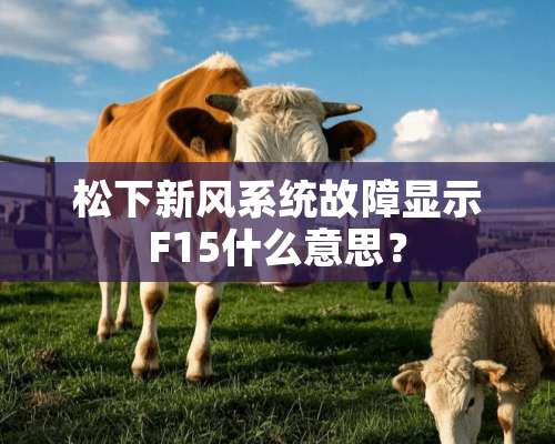 松下新风系统故障显示F15什么意思？