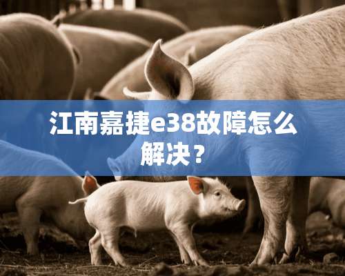 江南嘉捷e38故障怎么解决？