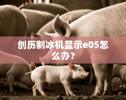 创历制冰机显示e05怎么办？