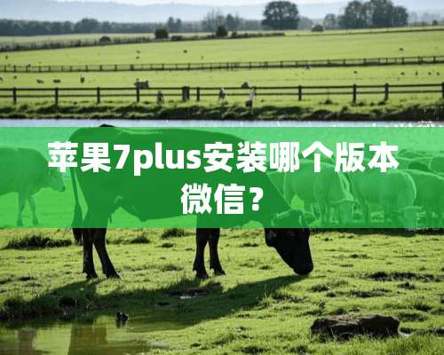 苹果7plus安装哪个版本微信？