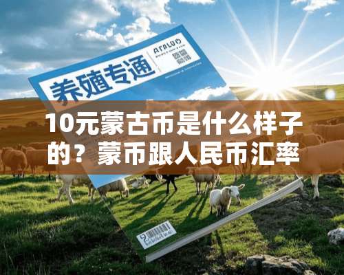 10元蒙古币是什么样子的？蒙币跟人民币汇率是多少？