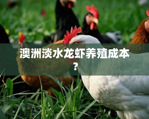 澳洲淡水龙虾养殖成本？