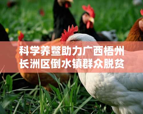 科学养鳖助力广西梧州长洲区倒水镇群众脱贫