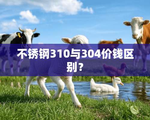 不锈钢310与304价钱区别？