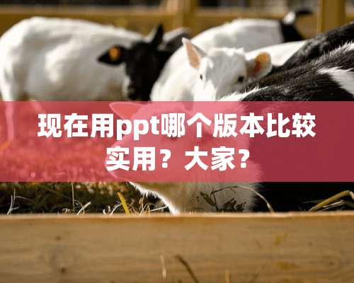 现在用ppt哪个版本比较实用？大家？