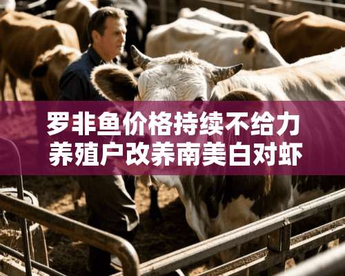 罗非鱼价格持续不给力 养殖户改养南美白对虾收益不错