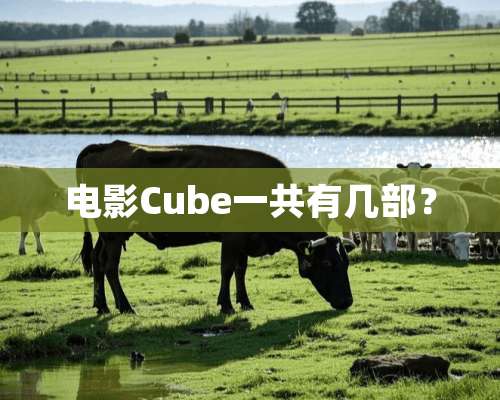 电影Cube一共有几部？