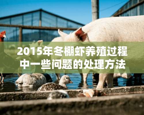 2015年冬棚虾养殖过程中一些问题的处理方法