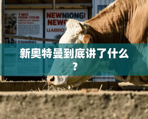 新奥特曼到底讲了什么？