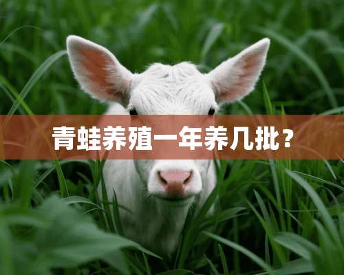 青蛙养殖一年养几批？