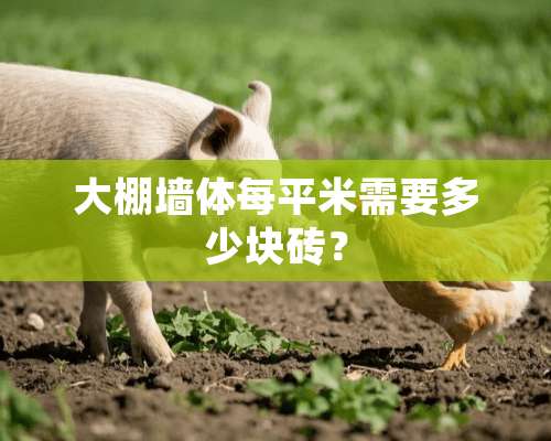 大棚墙体每平米需要多少块砖？