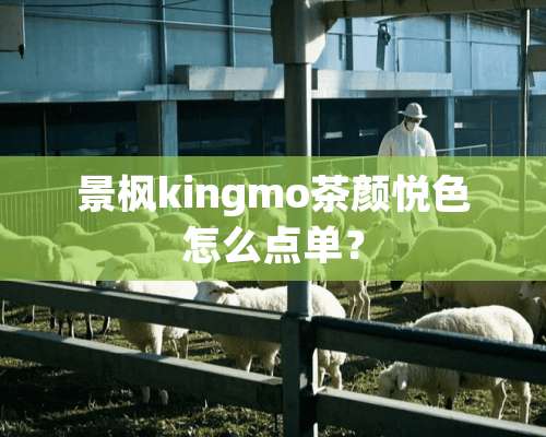 景枫kingmo茶颜悦色怎么点单？