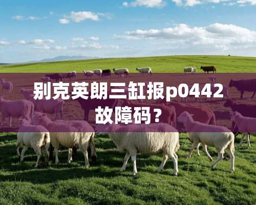 别克英朗三缸报p0442故障码？