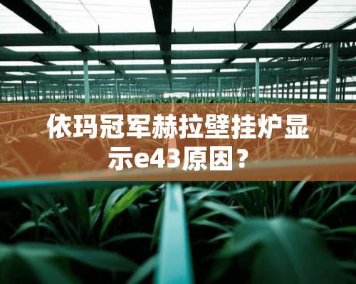 依玛冠军赫拉壁挂炉显示e43原因？