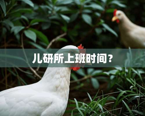 儿研所上班时间？