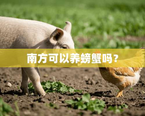 南方可以养螃蟹吗？