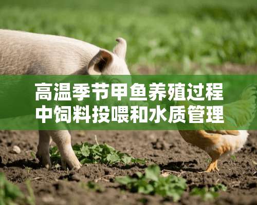 高温季节甲鱼养殖过程中饲料投喂和水质管理