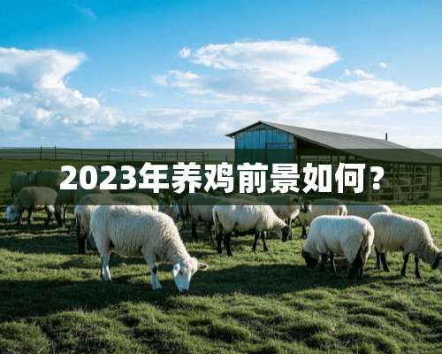 2023年养鸡前景如何？