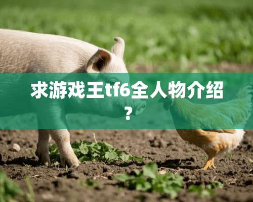 求游戏王tf6全人物介绍？