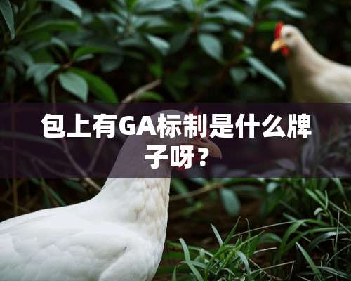 包上有GA标制是什么牌子呀？