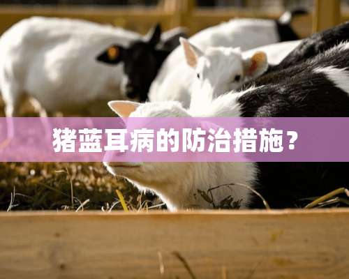 猪蓝耳病的防治措施？