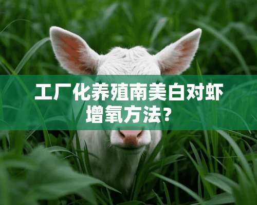 工厂化养殖南美白对虾增氧方法？