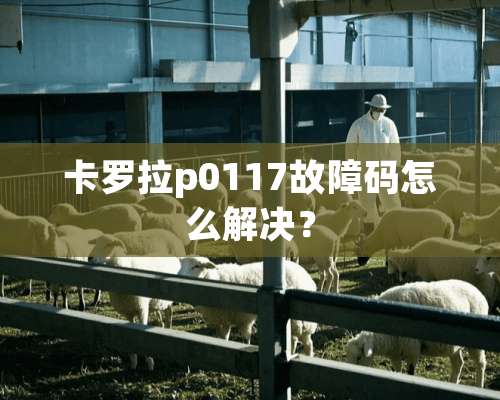 卡罗拉p0117故障码怎么解决？