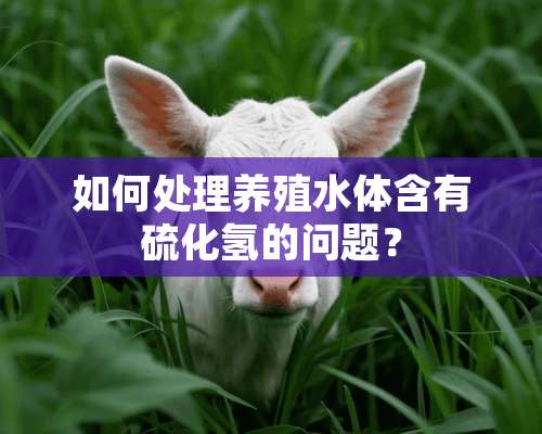 如何处理养殖水体含有硫化氢的问题？