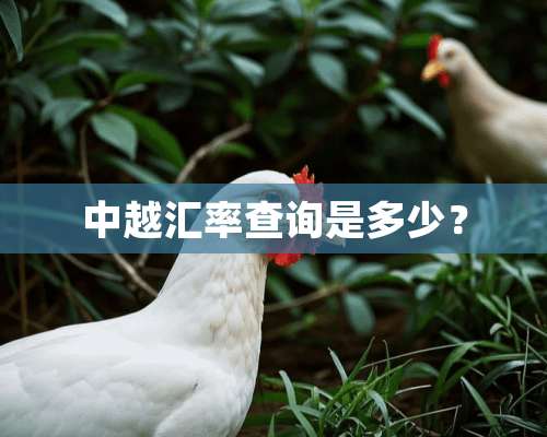 中越汇率查询是多少？